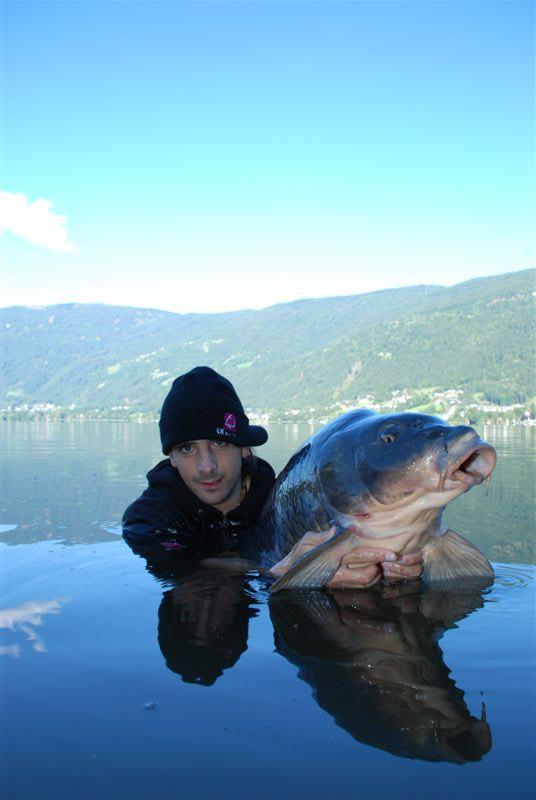 din natura - 13-e1306130522928.jpg